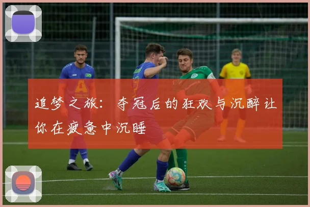 追梦之旅：夺冠后的狂欢与沉醉让你在疲惫中沉睡